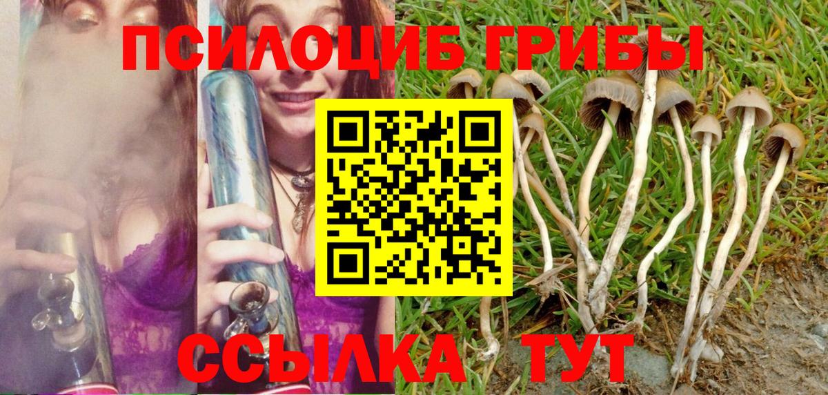 Псилоцибиновые грибы Magic Shrooms Нижний Тагил