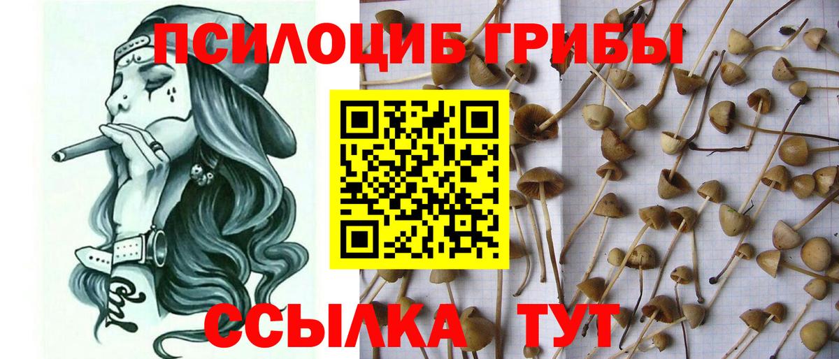 Галлюциногенные грибы Magic Shrooms  Псилоцибиновые грибы Magic Shrooms  Вход с VPN  Нижний Тагил 